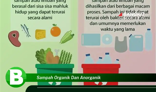 Intip Hal Tentang Sampah Organik dan Anorganik yang Bikin Kamu Penasaran