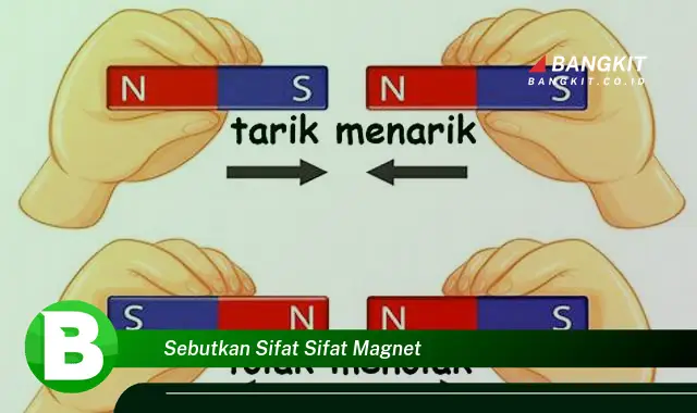 Ketahui Hal Istimewa Tentang Magnet yang Bikin Kamu Penasaran