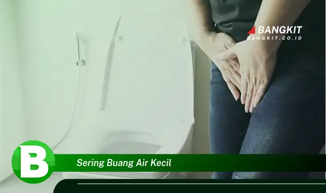 Intip Hal Tentang Sering Buang Air Kecil yang Bikin Kamu Penasaran