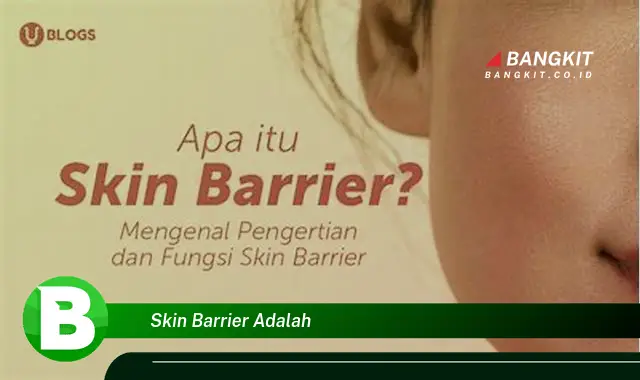 Intip Hal Penting Seputar Skin Barrier yang Bikin Kamu Penasaran