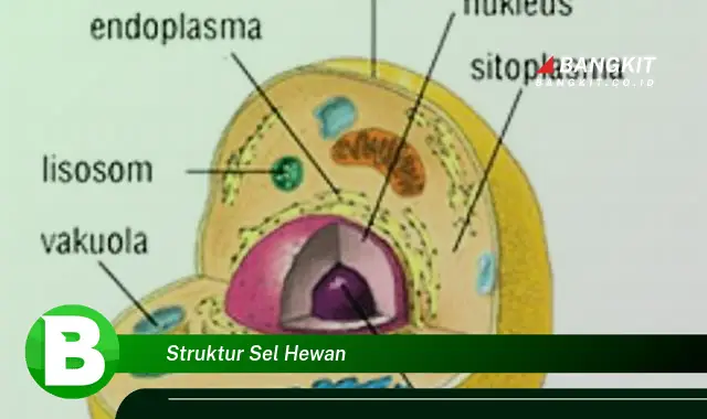 Intip Struktur Sel Hewan yang Bikin Kamu Penasaran