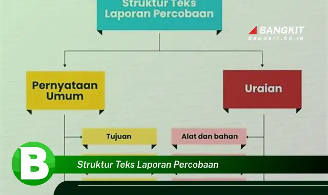 Ketahui Struktur Teks Laporan Percobaan yang Bikin Kamu Penasaran