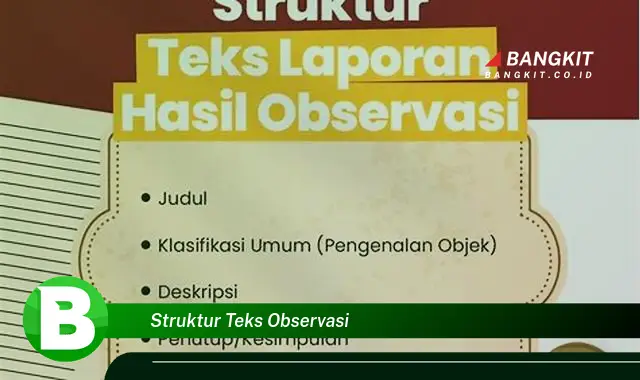 Intip Rahasia Struktur Teks Observasi yang Bikin Kamu Penasaran