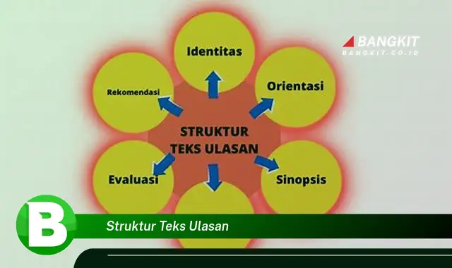 Intip Struktur Teks Ulasan yang Wajib Kamu Ketahui