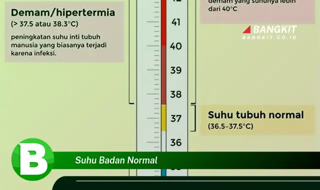 Intip Hal Tentang Suhu Badan Normal yang Jarang Diketahui