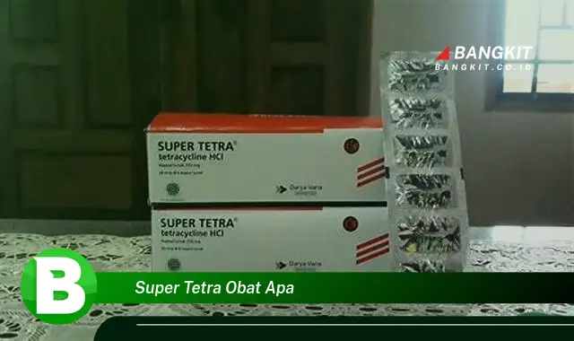 Intip Hal Tentang Super Tetra Obat Apa yang Bikin Kamu Penasaran