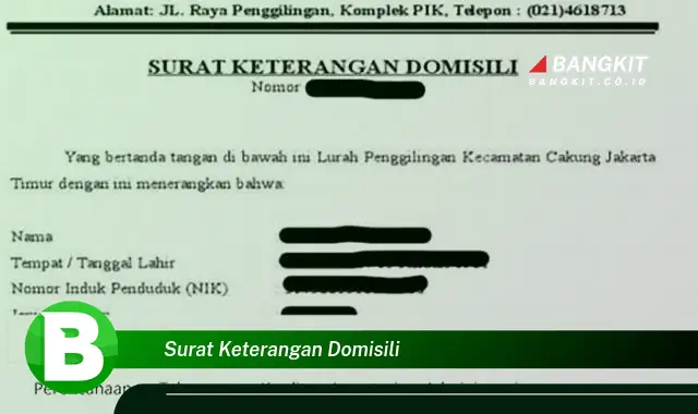 Intip Hal tentang Surat Keterangan Domisili yang Bikin Kamu Penasaran