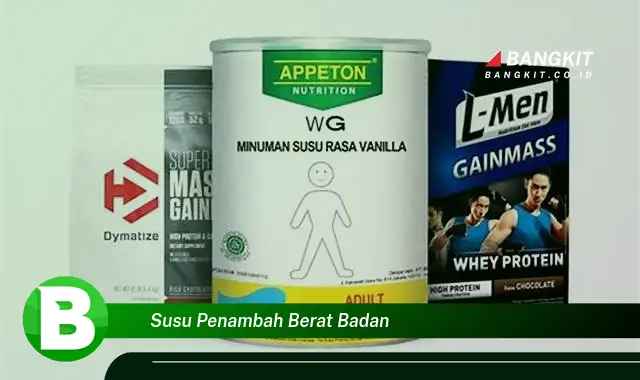 Intip Hal Menarik Tentang Susu Penambah Berat Badan yang Wajib Kamu Intip