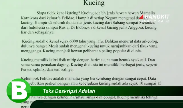 Intip Hal yang Bikin Kamu Penasaran tentang Teks Deskripsi yang Wajib Kamu Intip