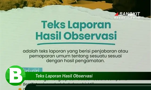 Intip Rahasia Teks Laporan Hasil Observasi yang Bikin Kamu Penasaran