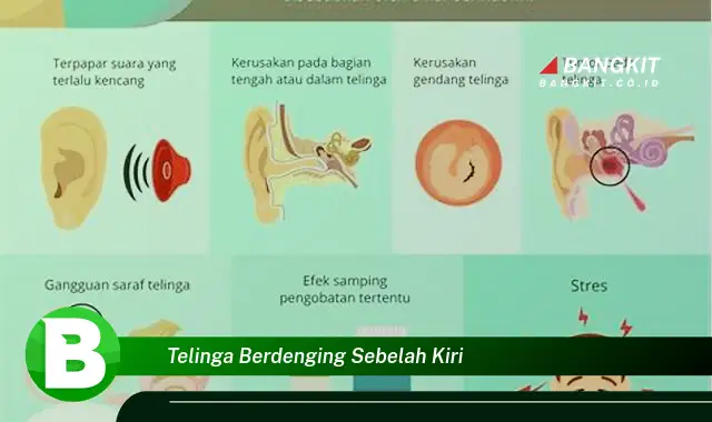 Intip Hal Tentang Telinga Berdenging Sebelah Kiri yang Wajib Kamu Ketahui