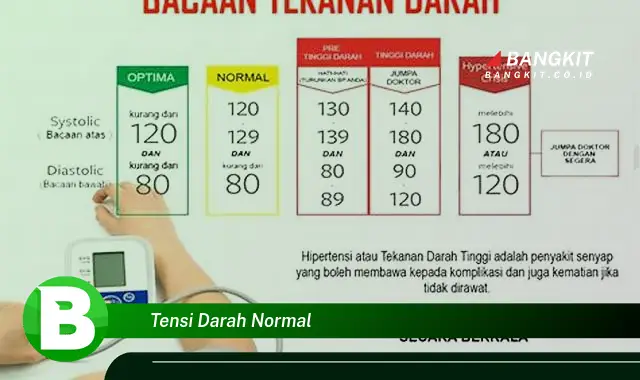 Intip Hal Tentang Tekanan Darah Normal yang Jarang Diketahui