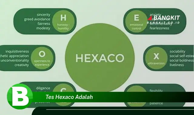 Ketahui Hal Tersembunyi Tentang Tes HEXACO yang Bikin Kamu Penasaran