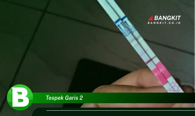 Intip Hal Penting tentang Tespek Garis 2 yang Bikin Kamu Penasaran