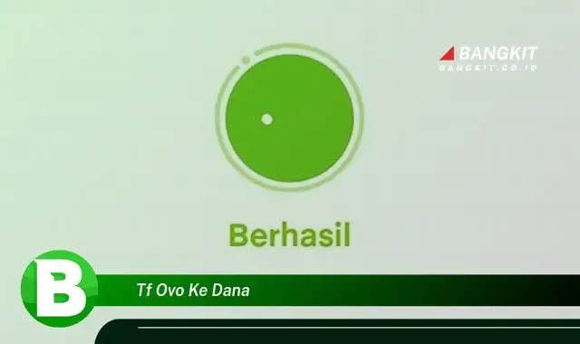 Intip Rahasia TF OVO ke Dana yang Wajib Kamu Tahu