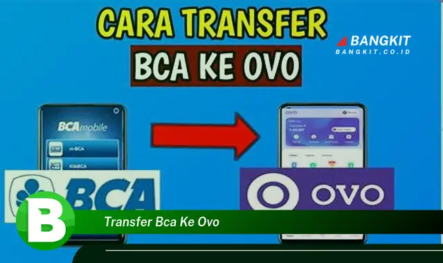 Ketahui Transfer Bank BCA ke OVO yang Bikin Kamu Penasaran