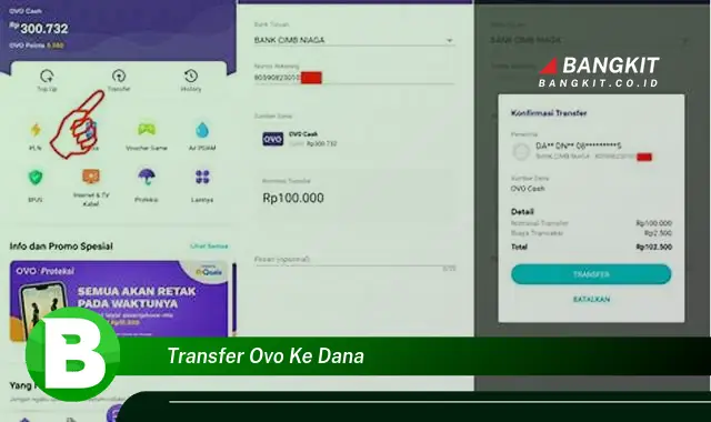 Intip Hal Tentang TransferOVO ke DANA yang Bikin Kamu Penasaran