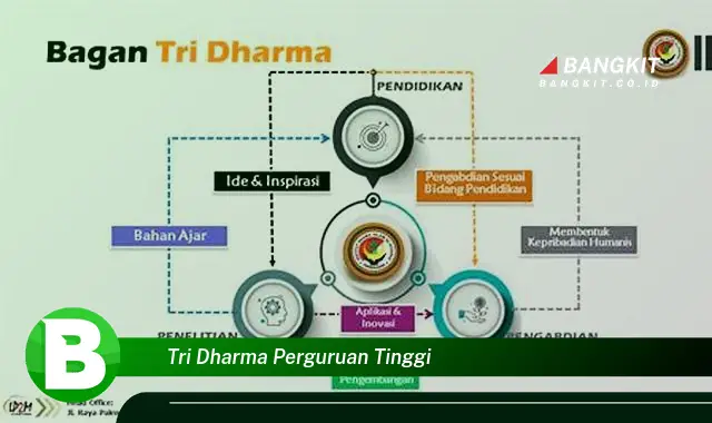 Intip Tri Dharma Perguruan Tinggi yang Wajib Kamu Ketahui