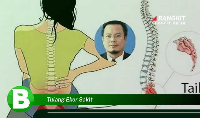 Ketahui Hal Tentang Tulang Ekor Sakit yang Wajib Kamu Intip