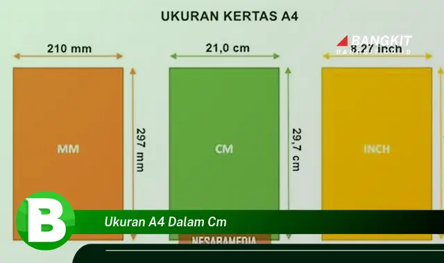 Intip Ukuran A4 dalam CM yang Bikin Kamu Penasaran