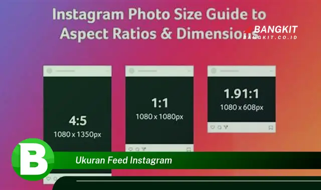 Intip Hal Tentang Ukuran Feed Instagram yang Wajib Kamu Intip