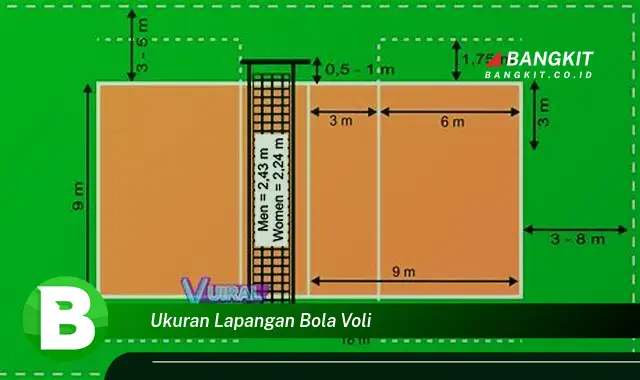 Intip Hal Tentang Ukuran Lapangan Bola Voli yang Bikin Kamu Penasaran