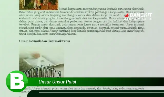 Ketahui Unsur-Unsur Puisi yang Jarang Diketahui