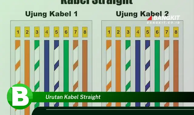 Ketahui Urutan Kabel Straight yang Bikin Kamu Penasaran