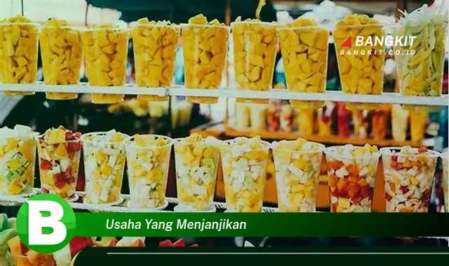 Intip Usaha yang Menjanjikan yang Wajib Kamu Intip