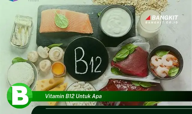 Intip Hal Tentang Vitamin B12 yang Wajib Kamu Tahu