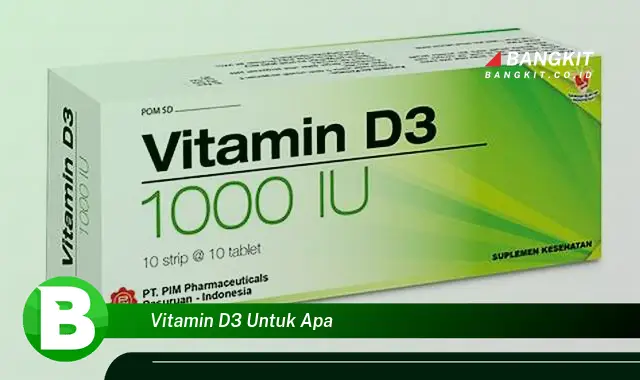 Intip Hal Tentang Vitamin D3 yang Bikin Kamu Penasaran