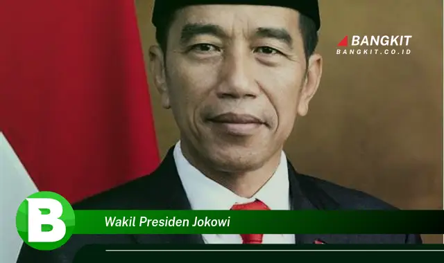 Intip Hal Wajib Diketahui Seputar Wakil Presiden Jokowi!