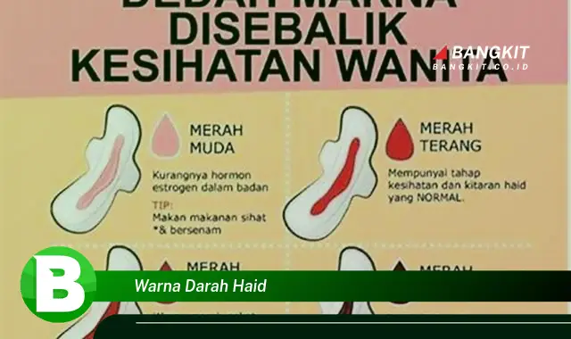 Ketahui Hal Menarik Tentang Warna Darah Haid yang Bikin Kamu Penasaran