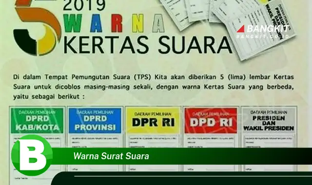 Intip Arti Warna Surat Suara yang Bikin Kamu Penasaran