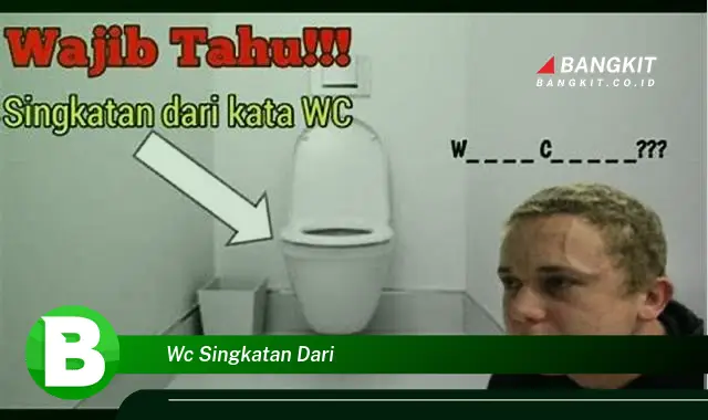 Intip Hal Tentang WC Yang Bikin Kamu Penasaran