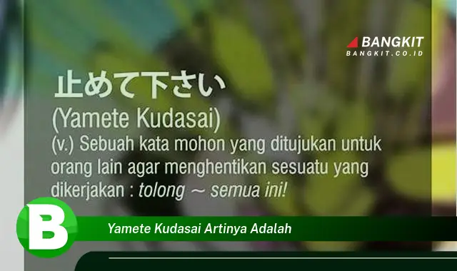 Intip Hal Tentang "Yamete Kudasai Artinya Adalah" yang Jarang Diketahui