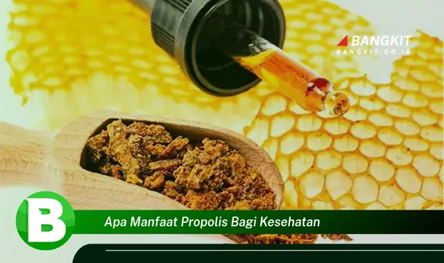 Ketahui Manfaat Propolis Untuk Kesehatan yang Bikin Kamu Penasaran