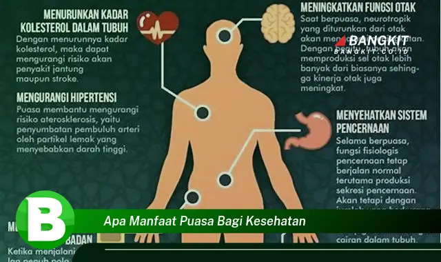 Ketahui Manfaat Puasa bagi Kesehatan yang Bikin Kamu Penasaran