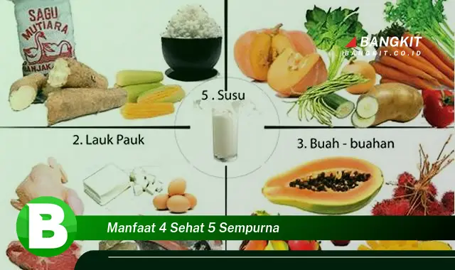 Intip Manfaat 4 Sehat 5 Sempurna yang Wajib Kamu Ketahui