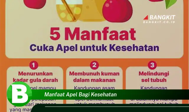 Temukan Manfaat Apel Bagi Kesehatan yang Wajib Kamu Intip