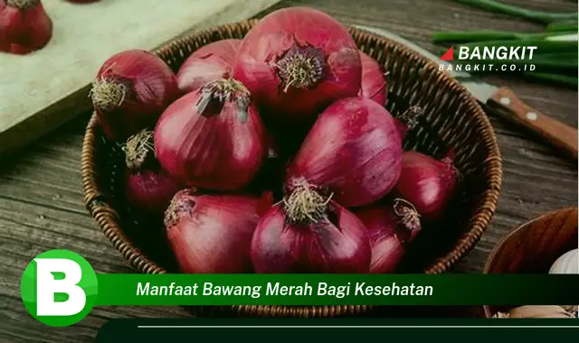 Temukan Manfaat Bawang Merah Bagi Kesehatan yang Wajib Kamu Tahu