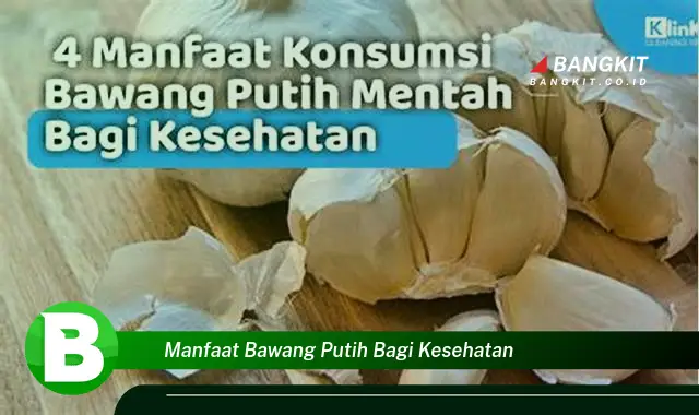 Intip Manfaat Bawang Putih Bagi Kesehatan yang Bikin Kamu Penasaran