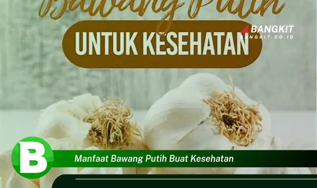 Ketahui Manfaat Bawang Putih Buat Kesehatan yang Bikin Kamu Penasaran