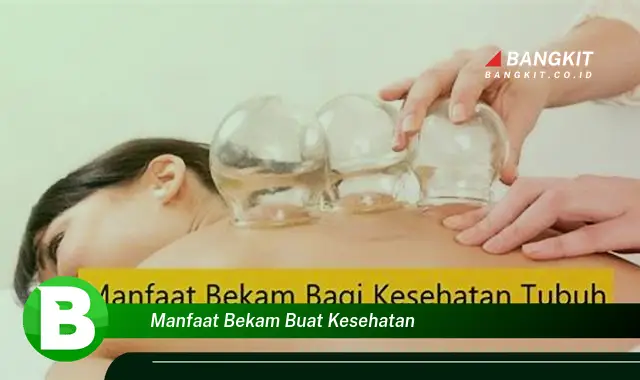 Ketahui Manfaat Bekam Buatan Kesehatan yang Bikin Kamu Penasaran