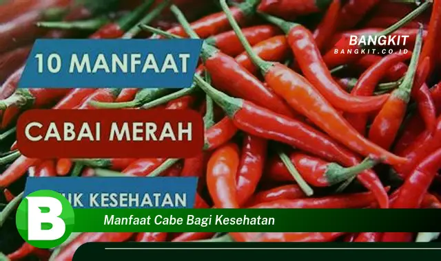 Temukan Manfaat Kesehatan Cabe yang Bikin Kamu Penasaran