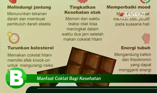 Intip Manfaat Coklat Bagi Kesehatan yang Wajib Kamu Tau