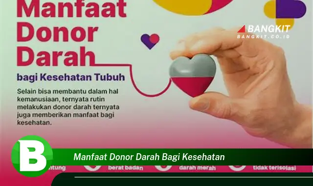 Temukan Manfaat Donor Darah Bagi Kesehatan yang Wajib Kamu Tahu