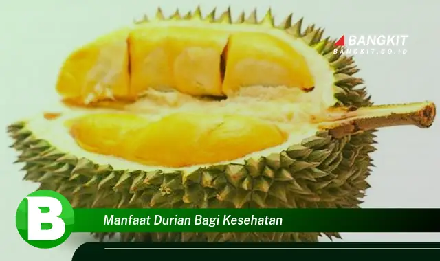 Intip Manfaat Durian Bagi Kesehatan yang Bikin Kamu Penasaran