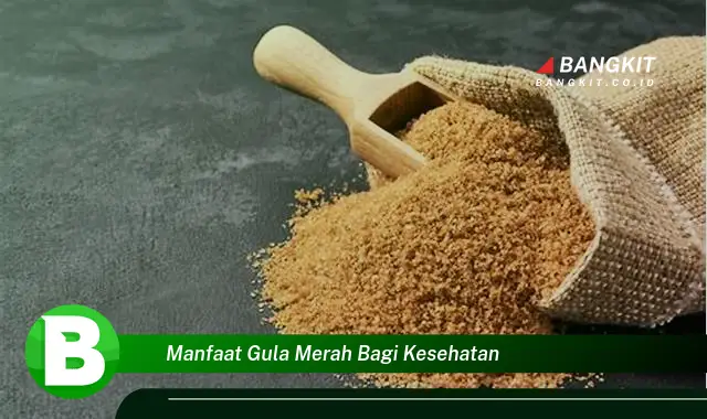 Intip Manfaat Gula Merah Bagi Kesehatan yang Wajib Kamu Tau