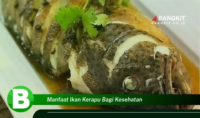 Temukan Manfaat Ikan Kerapu bagi Kesehatan yang Wajib Kamu Intip